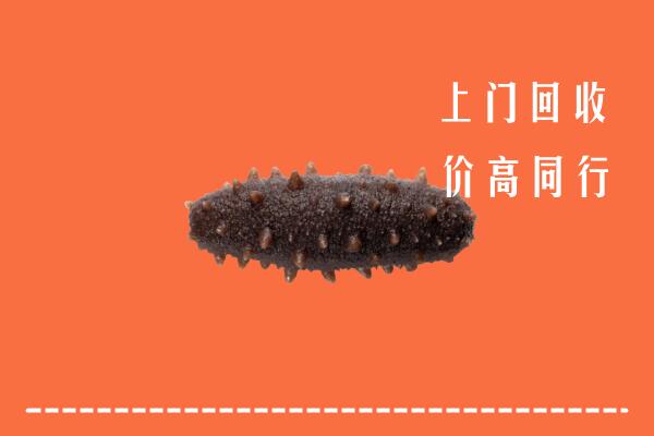 高价求购：江门回收海参