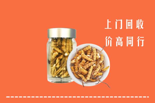江门回收冬虫夏草